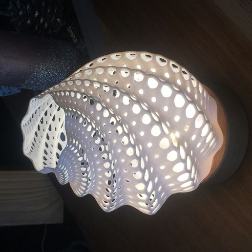 7DCD2407-6670-40EF-91DA-93E5DF59C321.jpeg organic_lamp