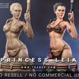 Princess Leia Thumbnail.jpg Princess Leia Bust - Star Wars