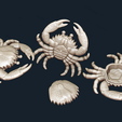 2.png Crab Shaped Jewelry Box - Digital Files for CNC Router in STL format