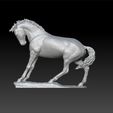 horse333_1.jpg Horse - decorative horse - beautiful horse