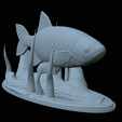 Perlin-19.png fish common rudd statue detailed texture for 3d printing
