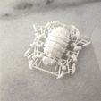 isp7.jpg Articulated Predominant Isopod BJD Kit 3D STL Files with & without sprues.