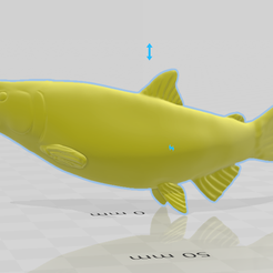 Screenshot-1.png King Salmon mount for Diy no teeth