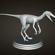 Unenlagia.jpg Unenlagia Dinosaur for 3D Printing