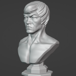 Feilong1.png Fei Long Street Fighter Bust