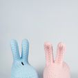 IMG_3703.jpg Troy Rabbit Knitted 🐰✨ (Container + Piggy Bank Version), Easter Design