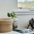 IMG_7701.jpeg Simple Self Watering Mason Jar Planter