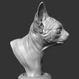 08.png Sphynx Cat Head AM08 3D print model
