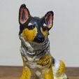 6.JPG Dog - German shepherd dog