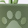 IMG_8101.jpg KNURLED PAW PLANTER