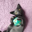 IMG_20250311_161045286.jpg Würfel Wächter Katze