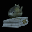 Bass-statue-6.png fish Largemouth Bass / Micropterus salmoides statue detailed texture for 3d printing