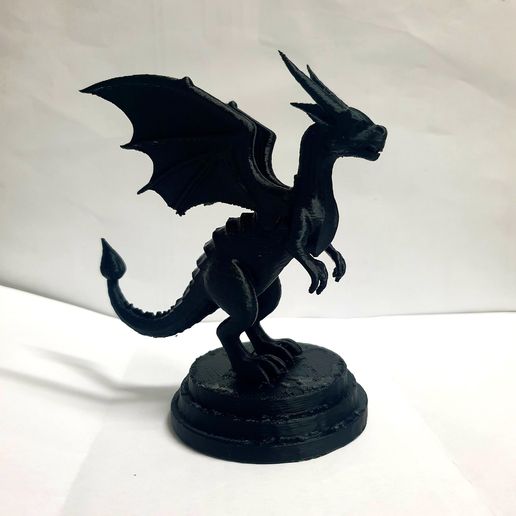 20250104_192957.jpg Drache Büste