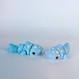 20240604_160728665_iOS.jpg Whale shark flexi