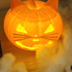 1711895240218.jpeg pumpkin cat