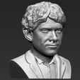 bilbo-baggins-hobbit-bust-ready-for-full-color-3d-printing-3d-model-obj-mtl-stl-wrl-wrz (29).jpg Bilbo Baggins Hobbit bust ready for full color 3D printing