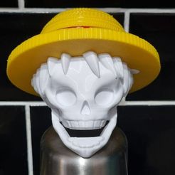 IMG_20231203_211912_057.jpg Skull luffy Grinder