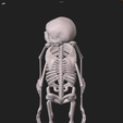 IMG_6872.png craniophages