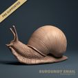 720X720-render-3.jpg Burgundy Snail