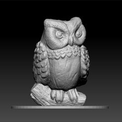ZBruddd.jpg owl