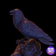 raven-3d-sculpture-stl-printable-model-ss3dprintables-raven-5.jpg Raven with skulls  3D Sculpture Art – Printable STL File