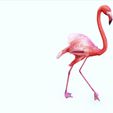APNG2R.jpg DOWNLOAD Flamingo 3D MODEL ANIMATED - BLENDER - 3DS MAX - CINEMA 4D - FBX - MAYA - UNITY - UNREAL - OBJ -  Flamingo DINOSAUR DINOSAUR Flamingo DINOSAUR BIRD