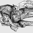 file-9.jpg Knee joint cut open detail labelled 3D model