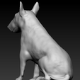 buuokl.png Bullterrier seated