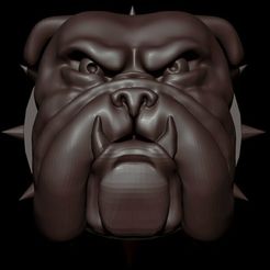 bulldog.jpg BULL DOG