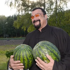 stephen-seagal-belarus-carrot-watermelon.webp OBJ file Two pistol man・Design to download and 3D print