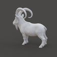 Ibex_1.3.jpg Фигурка горного козла