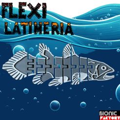 FLEXI-LATIMERIA-logO-2.jpg FLEXI LATIMERIA