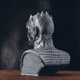 5.jpg Fichier STL Night King Bust - Jeu des Trônes・Design imprimable en 3D à télécharger