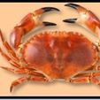 Crabe.JPG Dinette for marketer: grocery store