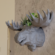 elk-wall-planter-low-poly-2.png Elk moose wall mount planter pot flower vase 3d print file