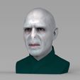 untitled.310.jpg Lord Voldemort bust ready for full color 3D printing