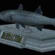 Barracuda-mouth-statue-18.png fish great barracuda / Sphyraena barracuda open mouth statue detailed texture for 3d printing