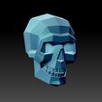 3123123.jpg scull