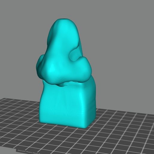 002.jpg Держатель для носовых очков