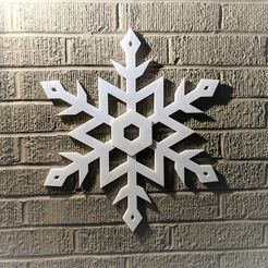 PXL_20210117_044948974.jpg Snowflake Decoration