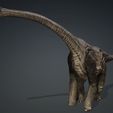 966.62-CM.jpg DOWNLOAD Brachiosaurus 3D MODEL ANIMATED - BLENDER - 3DS MAX - CINEMA 4D - FBX - MAYA - UNITY - UNREAL - OBJ -  Animals & creatures Fan Art DINOSAUR PREHISTORIC Saurisquios Camarasaurio Nigersaurus Titanosaurus Antarctosaurus Antarctosaurus  Shunosaurus