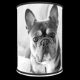 Vue-on_3.png French Bulldog Lamp