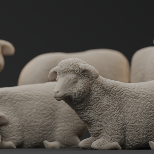 all-2.png SCHAF-ZIEGE-RUDEL