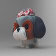 untitled.259.jpg Shih Tzu funko