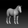 pony1.jpg Pony horse- Pony horse 3d model
