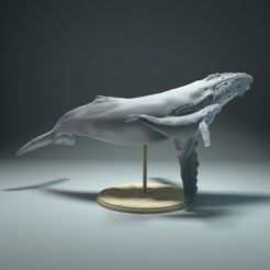 humpback_calf2.jpg STL file Humpback Whale and Calf・3D printable model to download, AnimalDenMiniatures