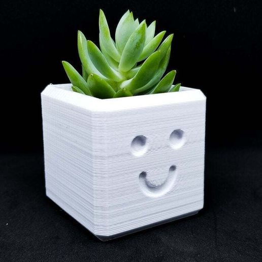 LRM_EXPORT_20171213_170533.jpg Happy Planter / 3D printed planter