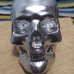 186003362_151612020259818_1401894807780628080_n.jpg Skull, Skull