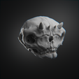 0002.png Articulated Troll Skull - Sciptemus Brutus - Halloween