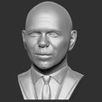 2.jpg Pitbull bust 3D printing ready stl obj formats